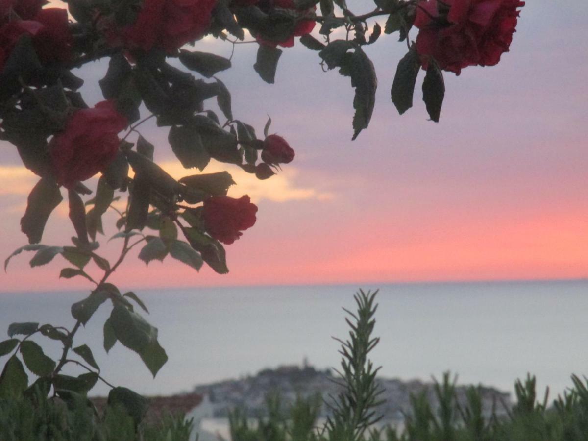 Apartment Santa Marina Primošten Kültér fotó